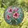 duiyfppz/products/6a088bdf6e427d92140f95c4/gallery/XWNOy2GiHL