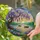 duiyfppz/products/6a088c56a2250550e2e61056/gallery/7bYBGzAd-l