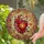 duiyfppz/products/6a088cb16e427d1c330f97ff/gallery/2lxWbPSJ5q