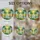 duiyfppz/products/6a088cc2b76748c71ffacddf/gallery/FqtdMqKac5