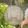duiyfppz/products/6a088ecc6c28ed1d76a578c1/gallery/2z09R2280r