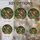 duiyfppz/products/6a088eecb7674845fafad02b/gallery/KOIPNLVP34