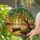 duiyfppz/products/6a08902ba22505fdf6e61670/gallery/nSQBpmD01b