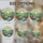 duiyfppz/products/6a08903c6c28ed2f60a57bd5/gallery/ORnHLMQV_M