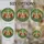 duiyfppz/products/6a08908ea22505eb1fe61755/gallery/DJgPzrXXjp
