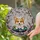 duiyfppz/products/6a08929db76748775cfad92b/gallery/aZED3MvFlu