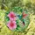 duiyfppz/products/6a0893a2a22505d1ffe61ac0/gallery/Mq34xo_jI4