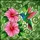 duiyfppz/products/6a0893a2a22505d1ffe61ac0/gallery/WYk1iBJpjT