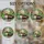duiyfppz/products/6a0895626c28ed18e6a5848e/gallery/nWSdBhxizB