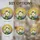 duiyfppz/products/6a0895de6c28ed9730a58519/gallery/wyp-KlJRzu