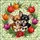 duiyfppz/products/6a08960d6c28ed0dd3a5859d/gallery/H275TqBmgM