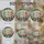 duiyfppz/products/6a089681b76748183efae0ed/gallery/1YfBB7hJfp