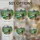 duiyfppz/products/6a08975ea225053f21e6239b/gallery/uLj_zWv0X4