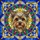 Yorkshire Terrier Dog Shaggy Fur Floral Buds Circular Border Rectangles Triangles - Home Decor Gift Stained Glass Suncatcher - 5