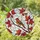 Colorful Perched Bird Branch Red Berries Swirling Glass - Nature Lover Home Decor Gift Stained Glass Suncatcher - 1