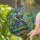 Mardi Gras Jester Trumpeter - Carnival Celebration Home Decor Gift for Performers Stained Glass Suncatcher - 2