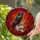 duiyfppz/products/6a09d4ae52172028e16b9130/gallery/bEJCpWGshJ