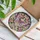 duiyfppz/products/6a09d674521720d6f06b9e60/gallery/9P7bj6Xn8g