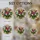 duiyfppz/products/6a09d6d5db38c7690bd1a73f/gallery/83CqBNPaWH