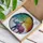 duiyfppz/products/6a09d77102e20e45fc6887ad/gallery/bvsDCgzD3X