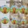 duiyfppz/products/6a09d7dddb38c746a2d1ac32/gallery/i5LLGECWH8