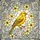 duiyfppz/products/6a09d8ffa225056b92e85190/gallery/CT33iprGAV