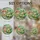 duiyfppz/products/6a09d9d502e20e05b7689f2c/gallery/K8zAWAiU-i