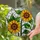duiyfppz/products/6a09d9e3a22505295ce85392/gallery/EmR3XZbDh-