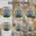 duiyfppz/products/6a09dd4c02e20e84d068a553/gallery/DtfdHru9Dy