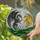 duiyfppz/products/6a09dd965217202bf86bde43/gallery/840KYdCPW5