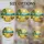 duiyfppz/products/6a09de4ba2250588efe85cfc/gallery/D9MVAH6n4v