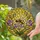 duiyfppz/products/6a09de994acc5350ebd09e2b/gallery/uXNVKDr9w-