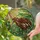 duiyfppz/products/6a09df494acc536f3fd0a088/gallery/xMRIa4zYHl