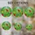 duiyfppz/products/6a09e11adb38c70738d1c34f/gallery/cUq6A75lH-