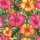 duiyfppz/products/6a09e3f6a225052b88e8768b/gallery/WVh7zGDy6L