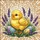 duiyfppz/products/6a09e43238e934e6d999e855/gallery/F6LrtVTVi7