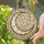 duiyfppz/products/6a09e4abdb38c7550cd1d81b/gallery/aQaMmvNvNC