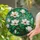 duiyfppz/products/6a09e6ada2250552bbe883e9/gallery/rgRyTLprN3