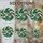 duiyfppz/products/6a09e79102e20e2e4168d531/gallery/dlrhMS0HEL