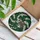 duiyfppz/products/6a09e79102e20e2e4168d531/gallery/h0ney5LvH1