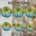 duiyfppz/products/6a09e803db38c75771d1e964/gallery/2ROpm4FPTm