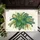 duiyfppz/products/6a09e965db38c75f4cd1ef93/gallery/p4lD6px9Jk