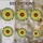 duiyfppz/products/6a09eb00a225052001e89770/gallery/6fF6GsM0sw