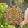 duiyfppz/products/6a09ebb3521720585d6c1e01/gallery/oiYbN7HZWt