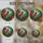 duiyfppz/products/6a09ec7638e93436e59a0c41/gallery/2PI47Co6tN
