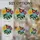 duiyfppz/products/6a09ed2adb38c718d6d1fd40/gallery/lL7JoAlt34