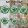 duiyfppz/products/6a09efdc38e93469729a146f/gallery/a5JYGXJwbY