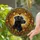 duiyfppz/products/6a09f16f521720b9b46c2cce/gallery/r8j19eGR67