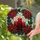 duiyfppz/products/6a09f1bda225056e7be8abf5/gallery/HuTjlZFS2u