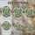 Cacti Cluster Lotus Starburst Desert Flowers Succulent - Home Decor Gift Stained Glass Suncatcher - 4